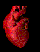 Cirug�a Cardiovascular