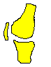 Rodilla animada