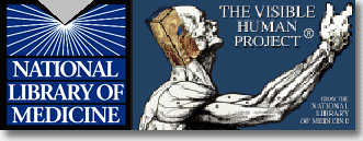 Visible Human Project