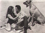 Elvis and Michelle Carey in Live a Little Love a Little