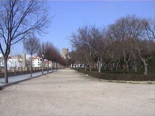 Paseo de Je&uacute;s: calzada
