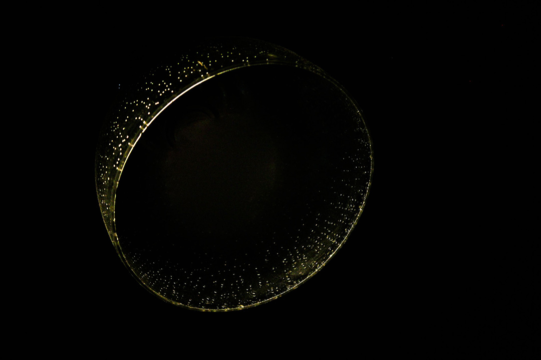 ring of sparkles floating in darkness