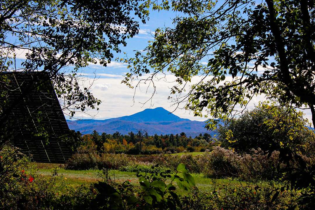 camel's hump mountain framed by trees