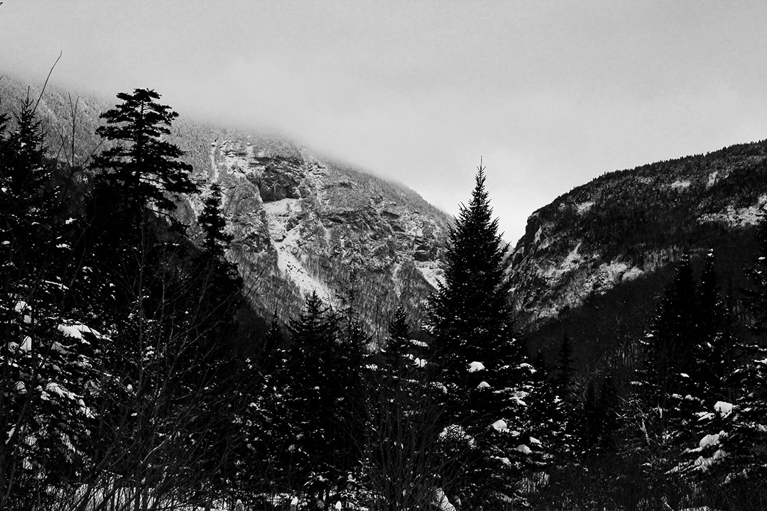 a black and white image of mountains in the background, and trees in the foreground