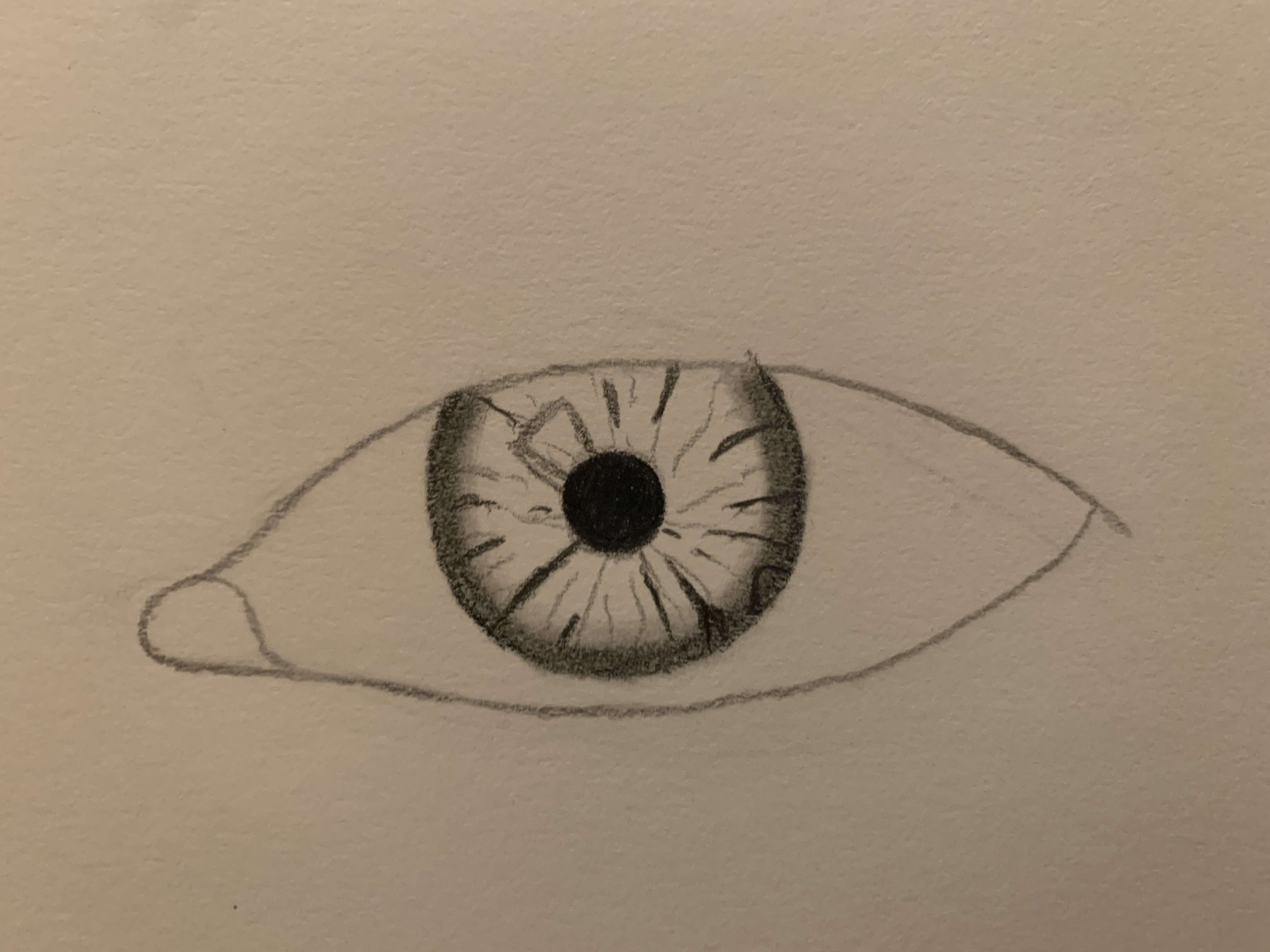 eye process 4