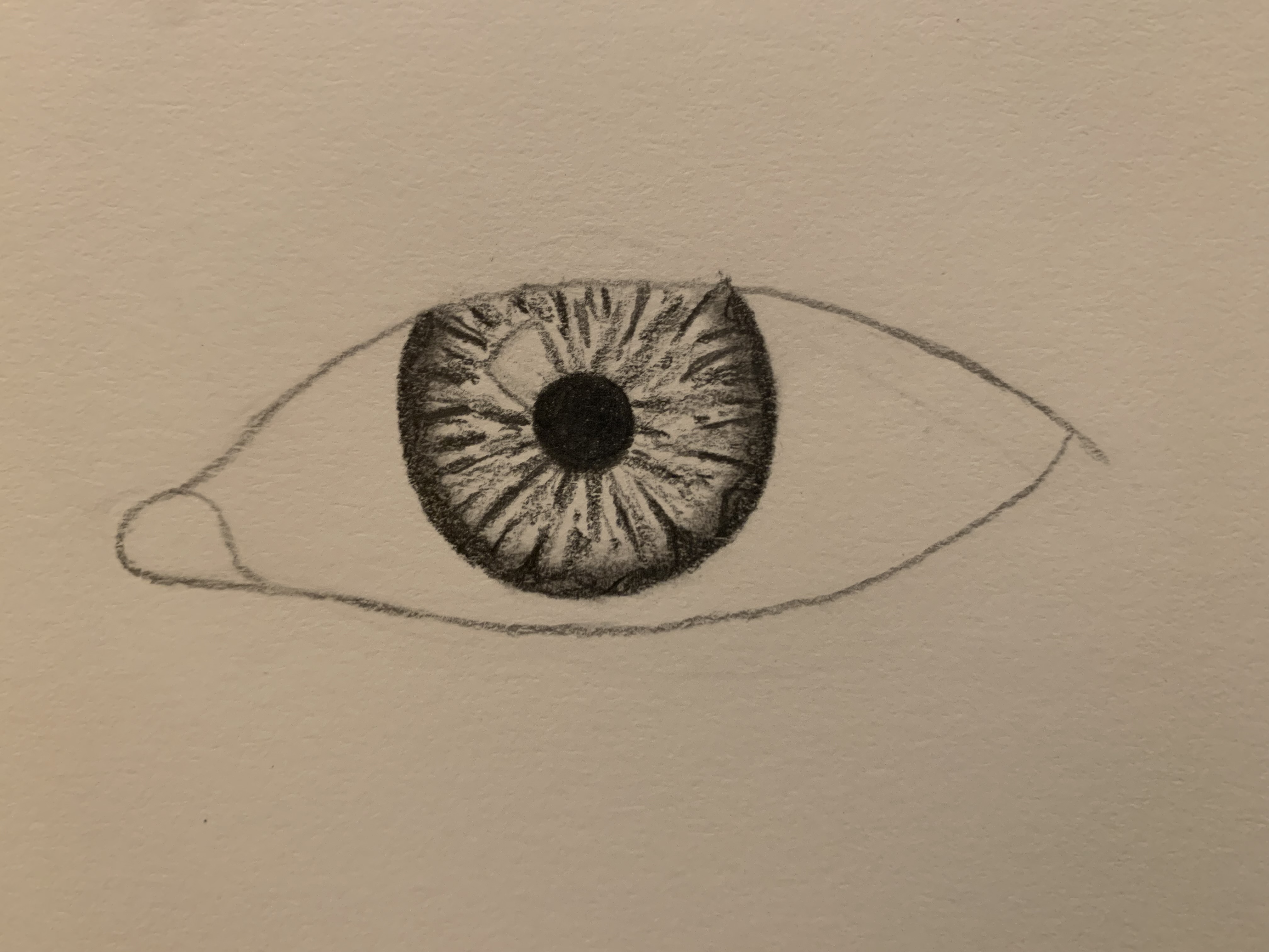 eye process 5