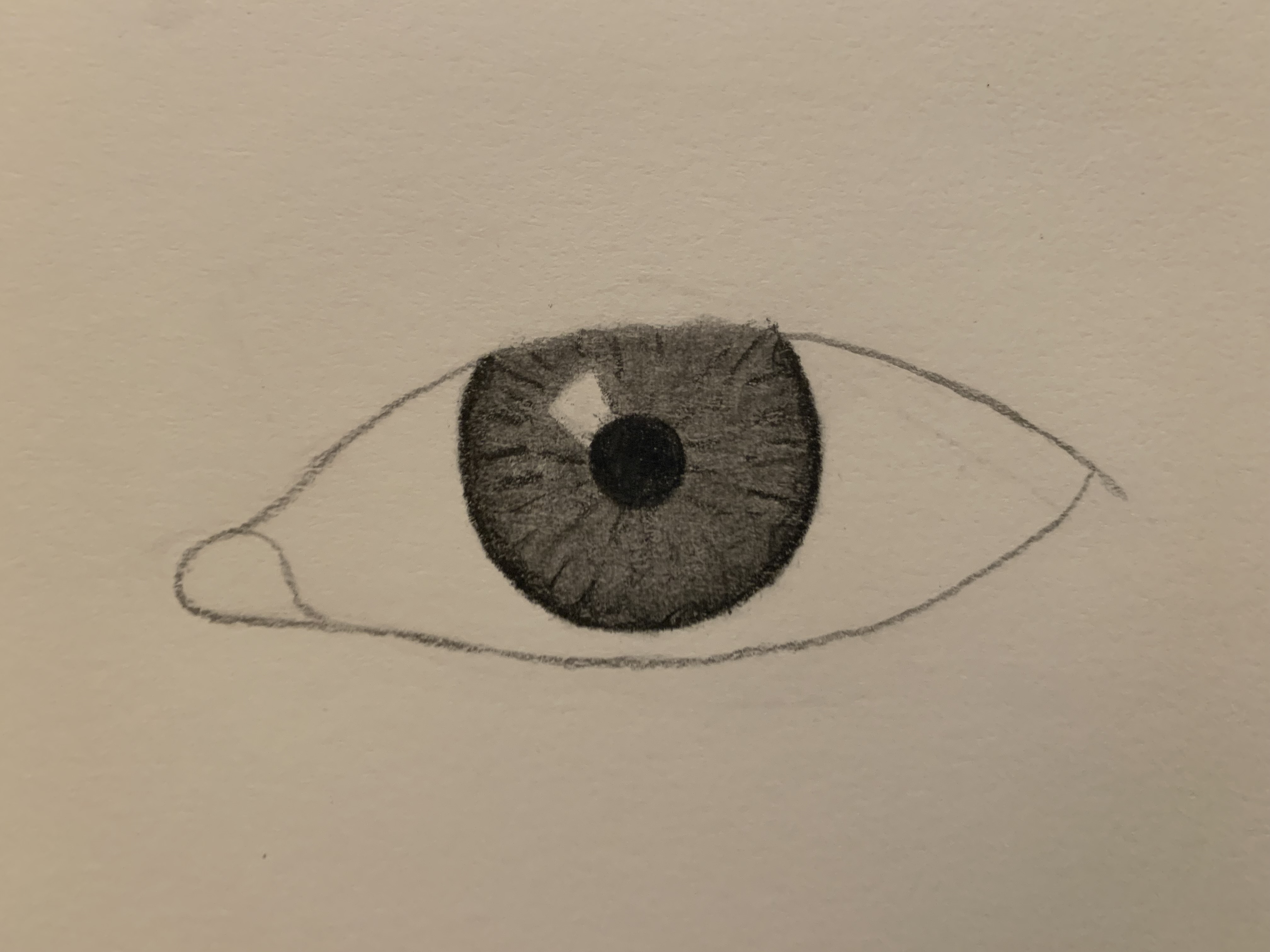 eye process 7