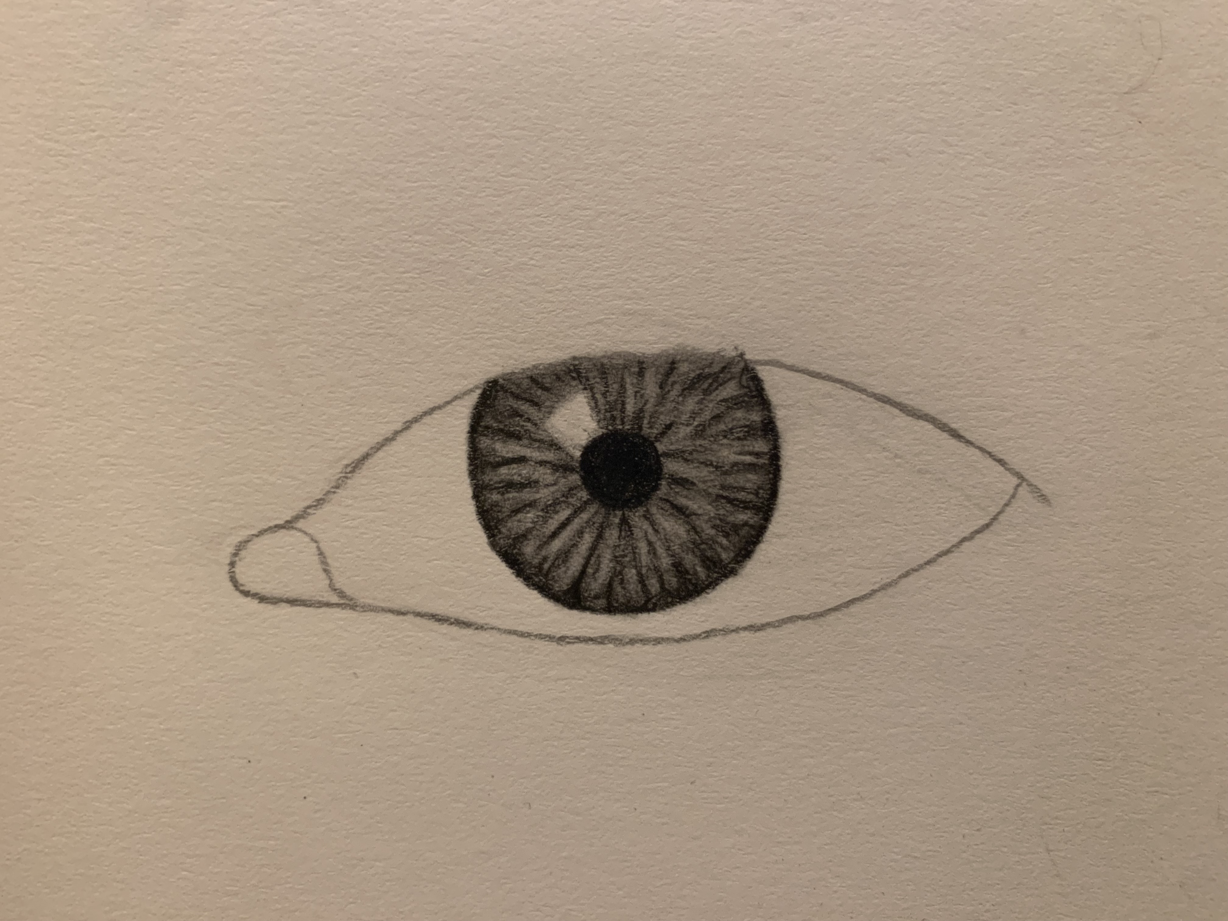 eye process 8