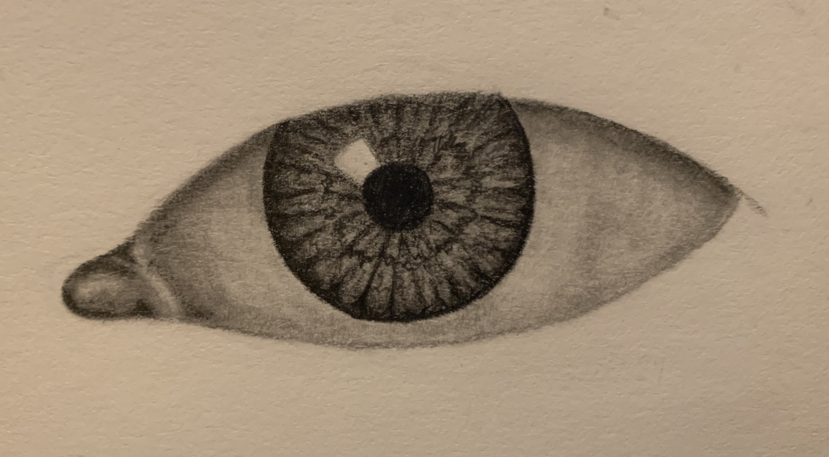 eye process 10