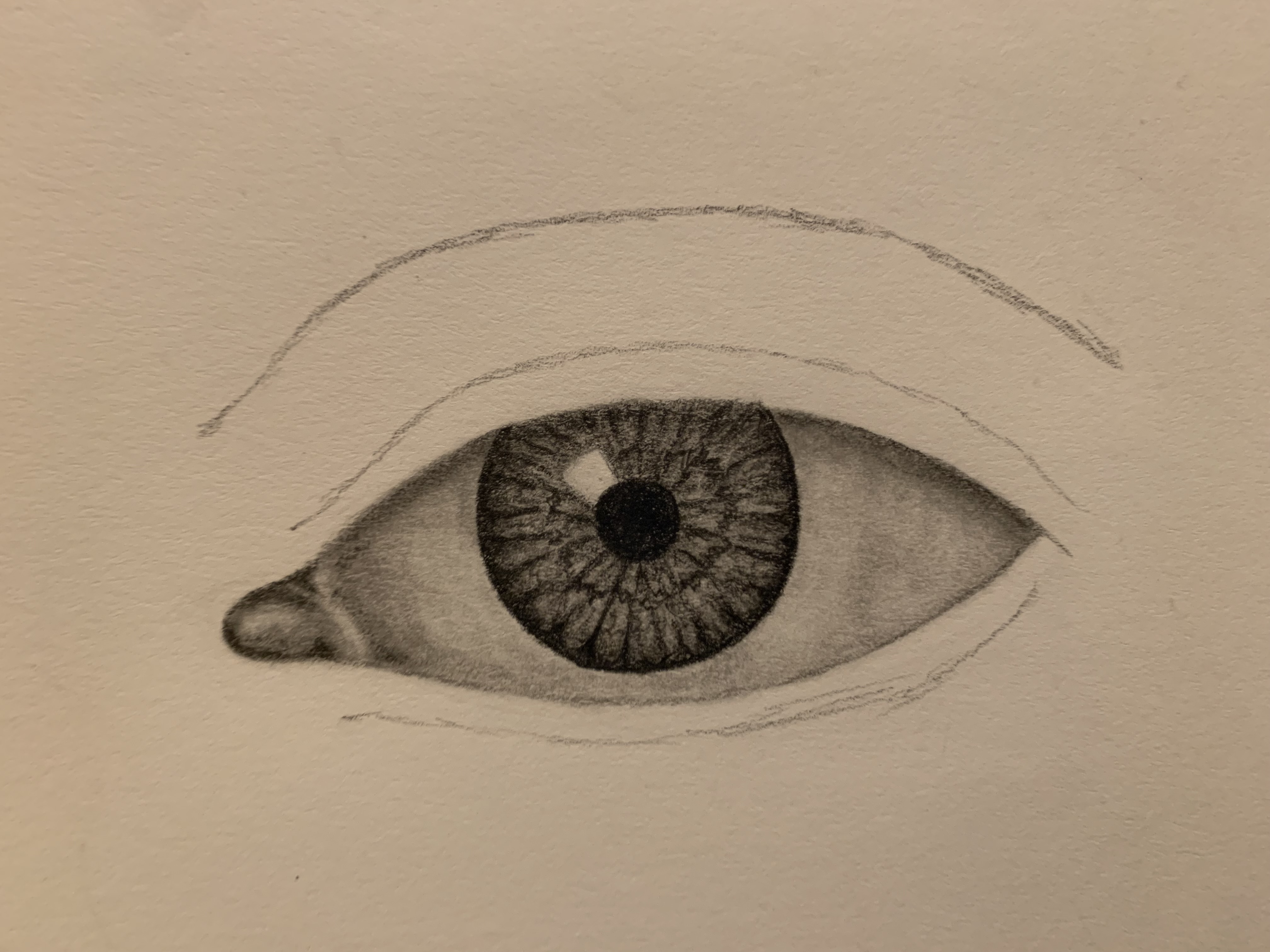 eye process 11