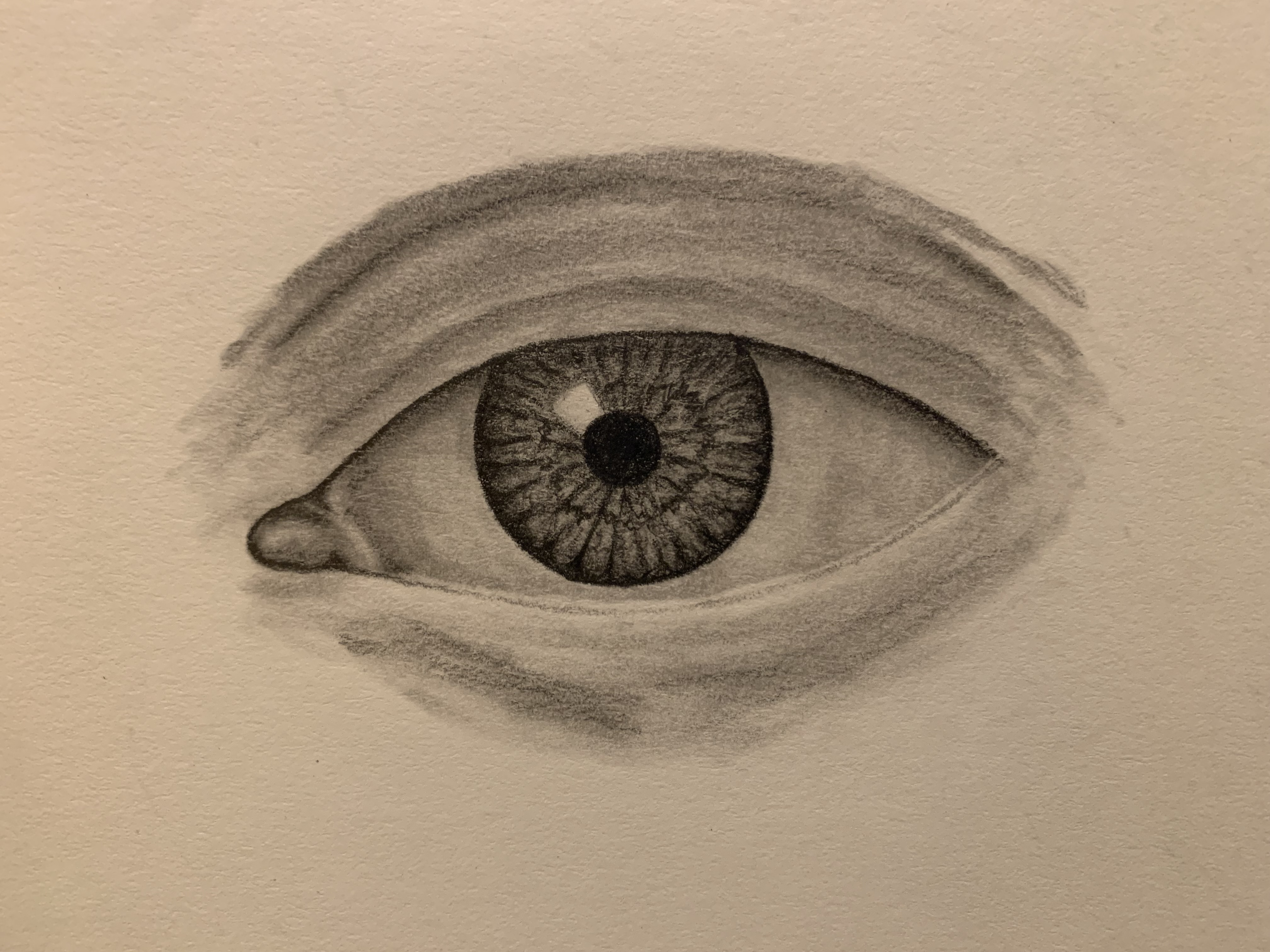 eye process 13
