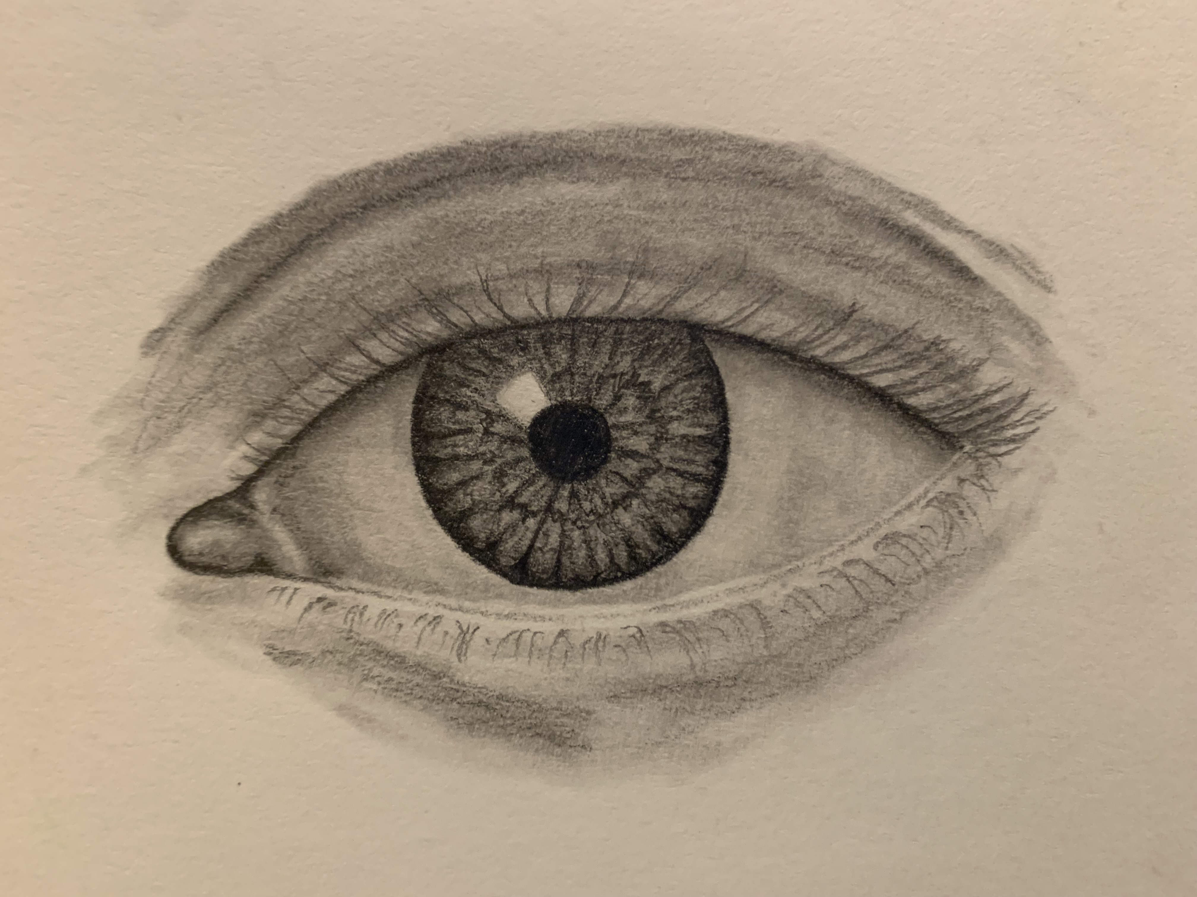 eye process 14