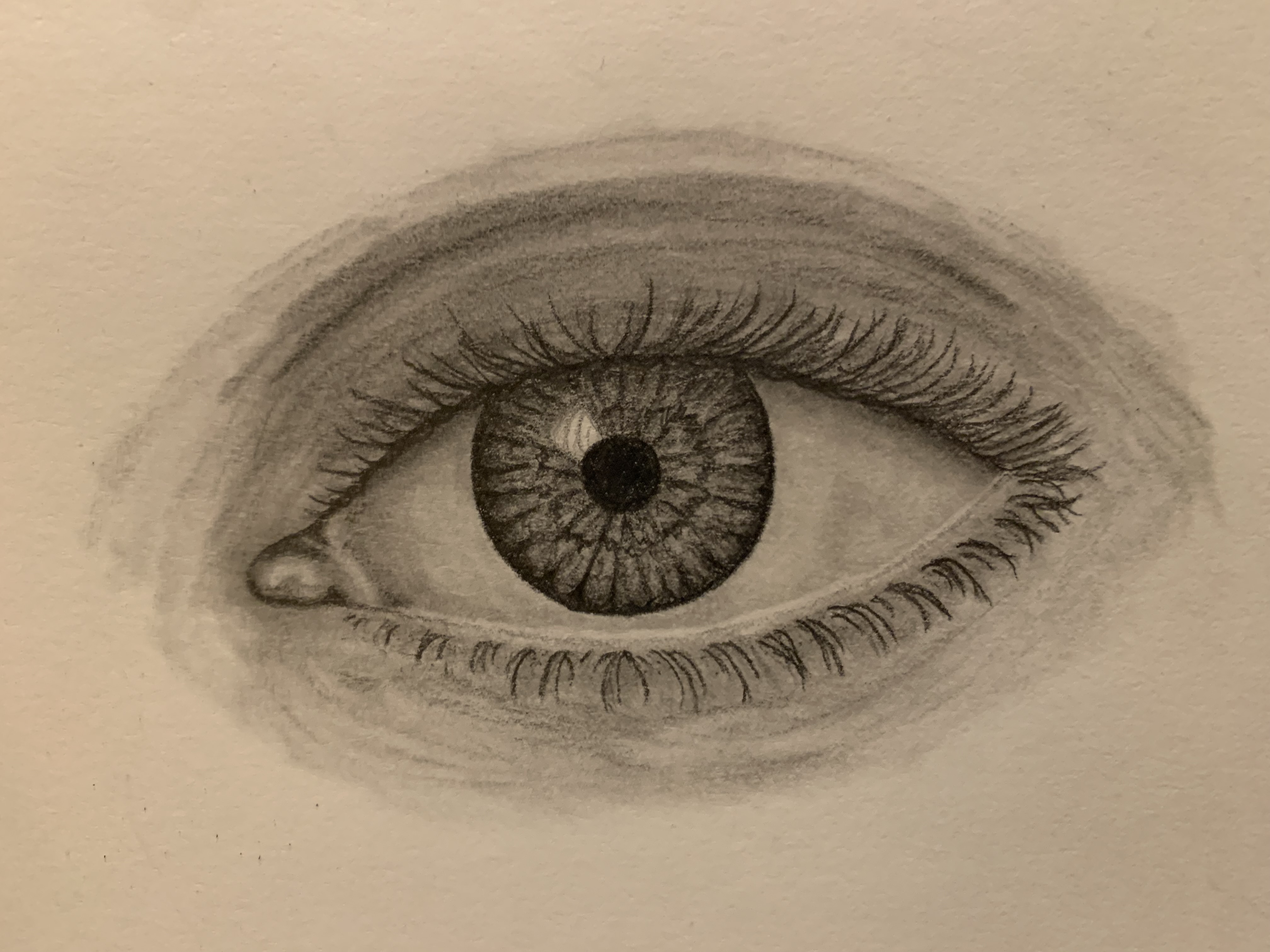 eye process 15