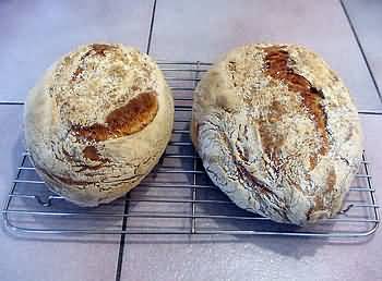 Ciabatta