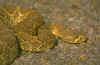 A7008B.JPG (240144 bytes)
