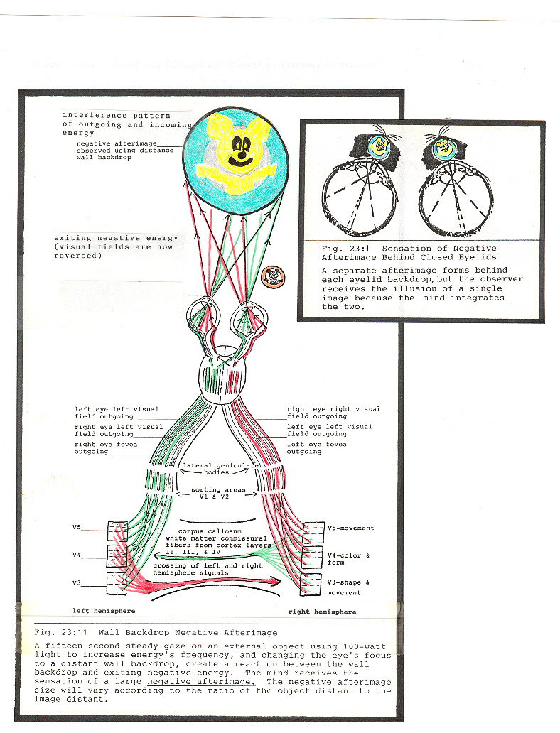 Positive and Negative Afterimages Instructions & Process