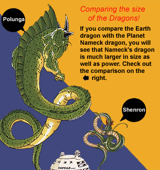 Comparison between Dragons of Earth & Namek