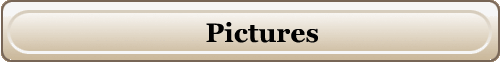 Pictures