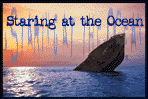 staring at the Ocean