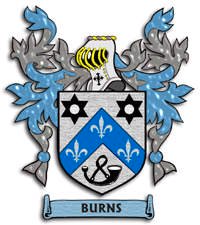 Family History linking Burns