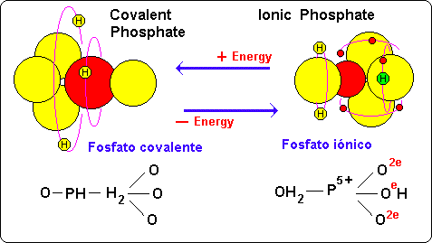 Transferencia-Energia-Electrones