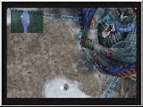 Final Fantasy X Inter