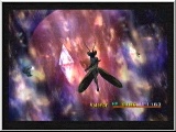 Final Fantasy X Inter
