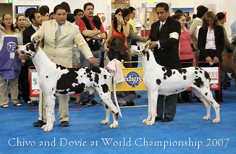 chivo-dovie2007