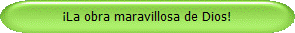 La obra maravillosa de Dios!