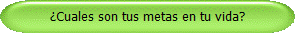 Cuales son tus metas en tu vida?