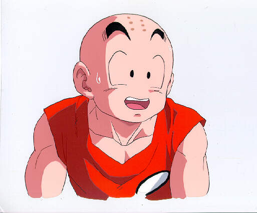 D15.jpg (26637 bytes)