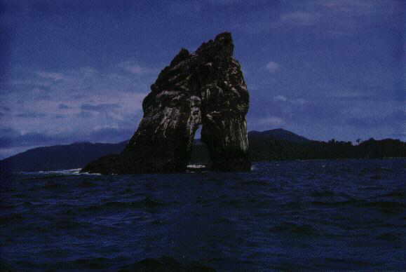 Gorgona