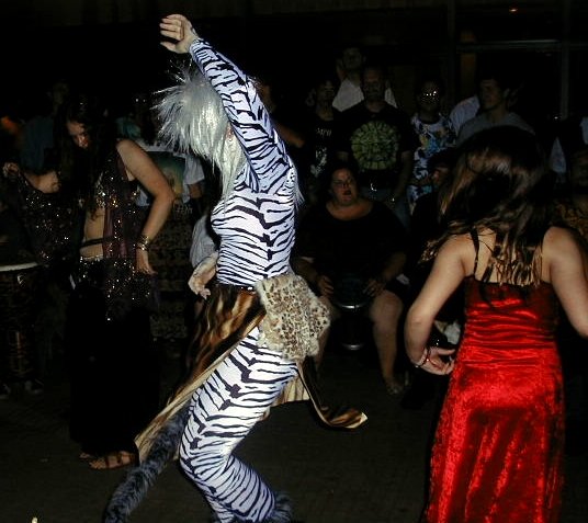 catdancing1.jpg 54.1K