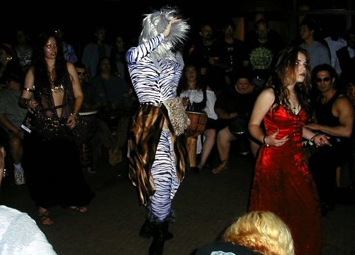 catdancing2.jpg 40.2K