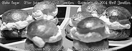 fastlagsbullar &auml;r goda kagor