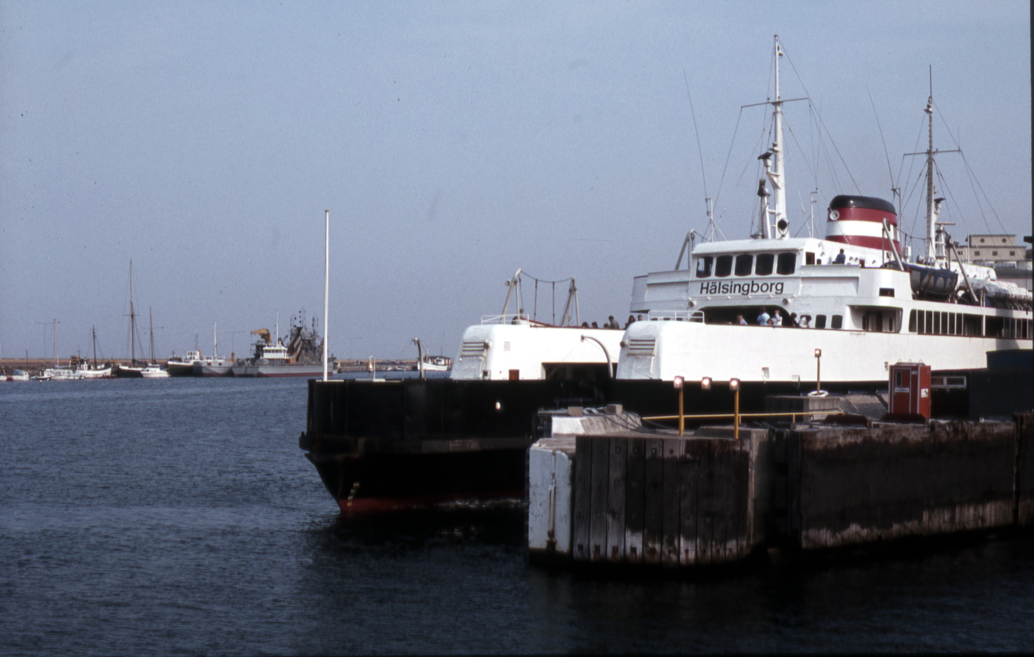 DSB-färjan Hälsingborg i Helsingborg 6.7.1981