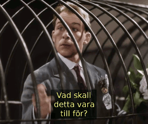 Bild ur filmen Cirkus (1936)