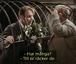 Bild ur filmen Cirkus (1936)