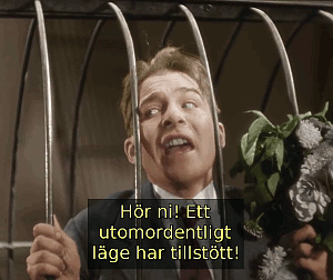 Bild ur filmen Cirkus (1936)