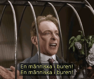 Bild ur filmen Cirkus (1936)