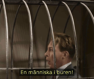 Bild ur filmen Cirkus (1936)