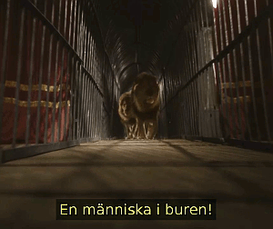 Bild ur filmen Cirkus (1936)