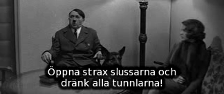 Bild ur Ozerovs spelfilm &raquo;Sista stormningen&laquo; (Befrielse 5).