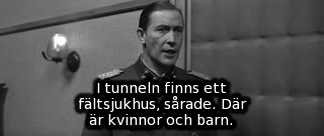 Bild ur Ozerovs spelfilm &raquo;Sista stormningen&laquo; (Befrielse 5).