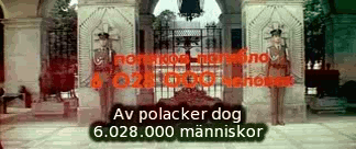 I Andra Världskriget dog 6.028.000 polacker och polskor.