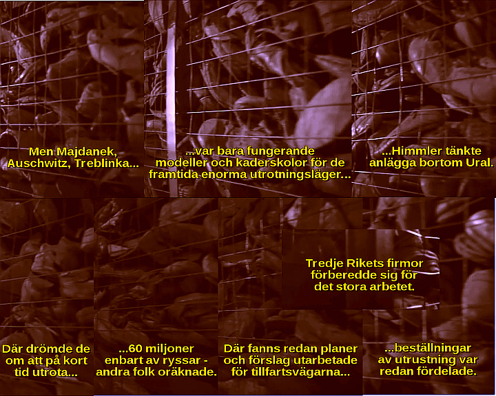 Bild ur filmen &laquo;Vanlig fascism 2&raquo;