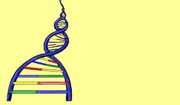 DNA