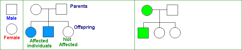 pedigrees diagrams
