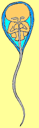 picture of homonculus