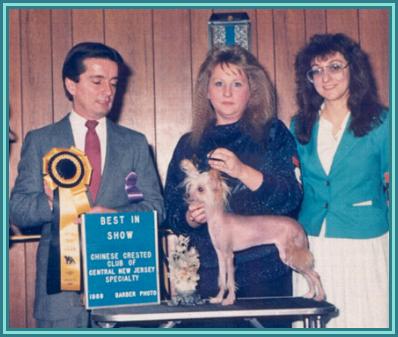 AKC, SKC, ACCC Ch Gingery's Thunder